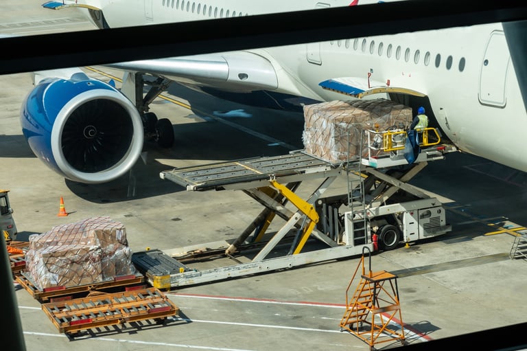 Cargo being loaded onto an airplane for international shipping